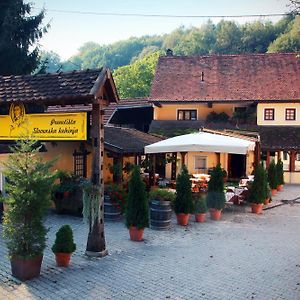 Guest House Pri Vodniku